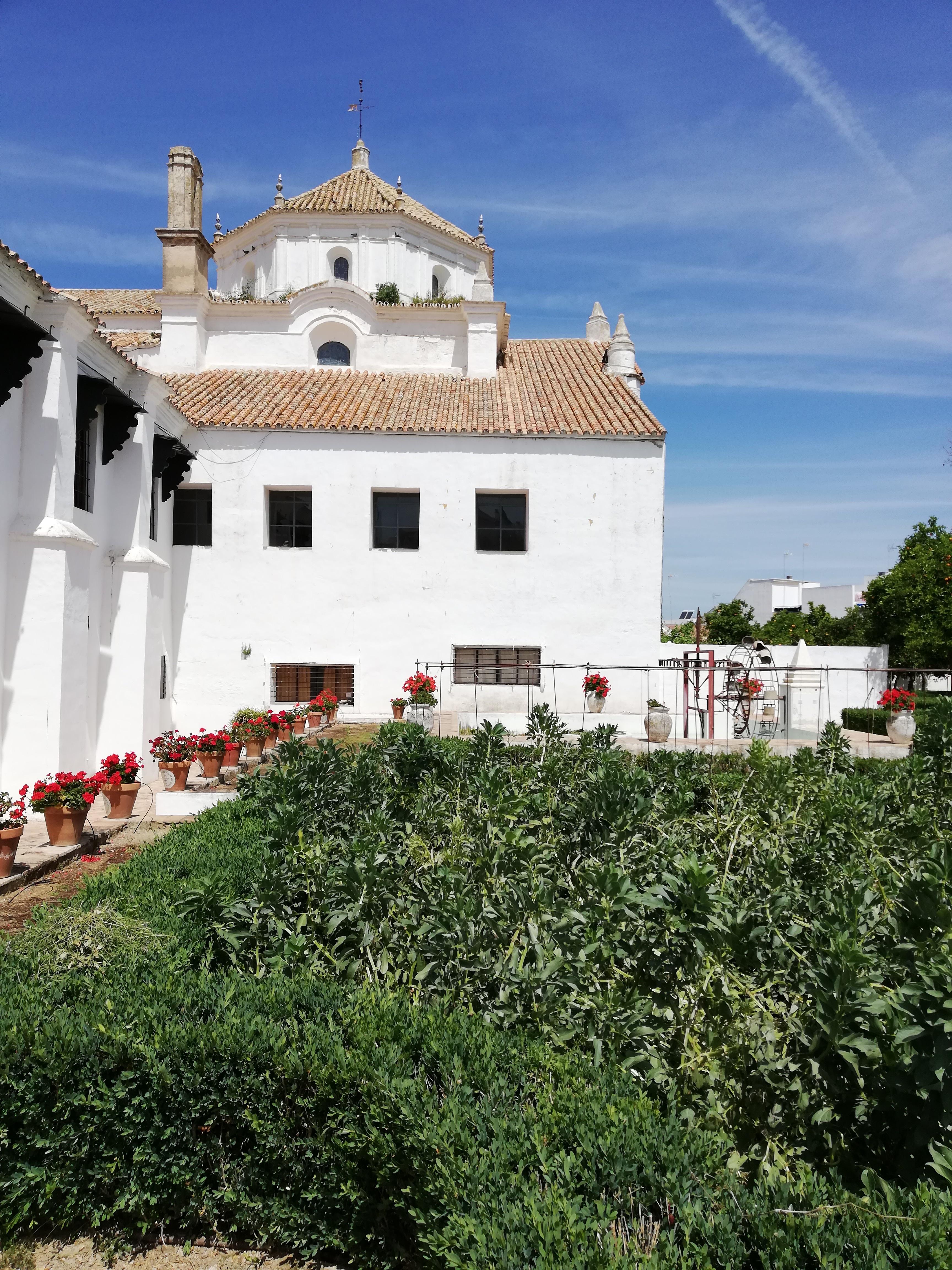 Monasterio De San Francisco Palma del Río